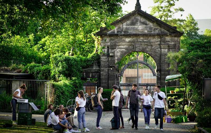 No Return - Toto in action