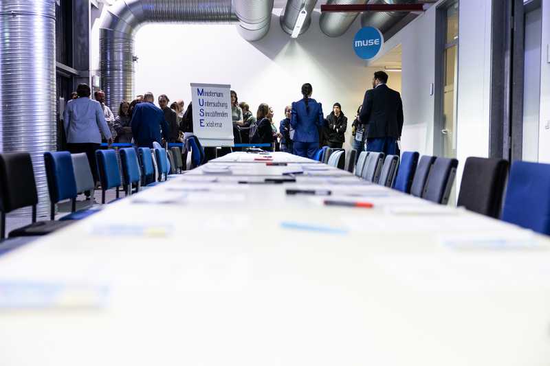 no work and all play - Toto in action