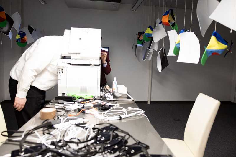 no work and all play - Toto in action