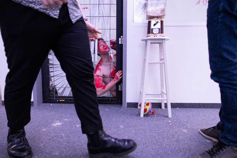 no work and all play - Toto in action