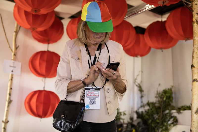 no work and all play - Toto in action